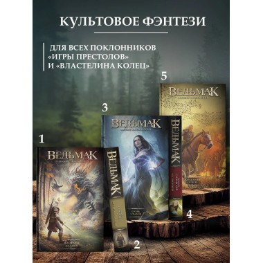 Меч Предназначения (новая обложка).