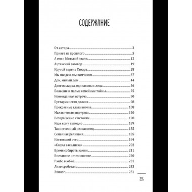 Леди-детектив. Босиком по облакам (16+)