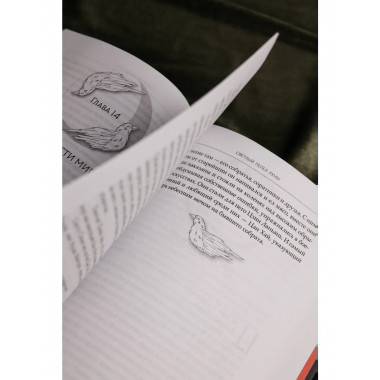 Светлый пепел луны. Книга 4.