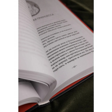Светлый пепел луны. Книга 4.