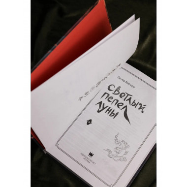 Светлый пепел луны. Книга 4.
