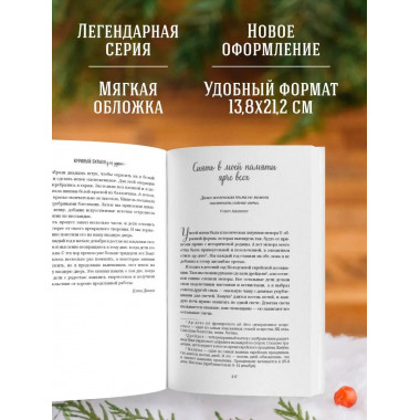 Куриный бульон для души: Дух Рождества.