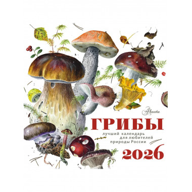 Календарь Грибы 2026 год.