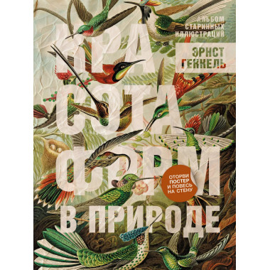 Красота форм в природе. Альбом старинных иллюстраций.