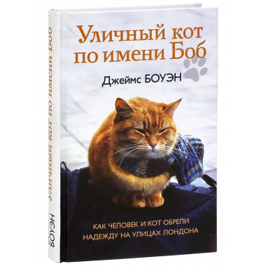 Уличный кот по имени Боб.