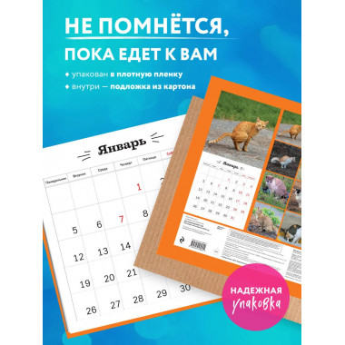 Все кошки делают это. Календарь настенный на 2026 год