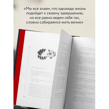 Если все кошки в мире исчезнут.