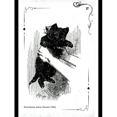 Соня в царстве Дива