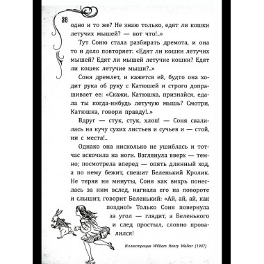 Соня в царстве Дива