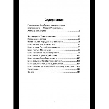 Прямое действие. Мемуары городской партизанки
