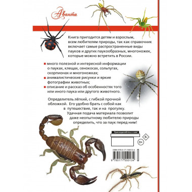 Пауки, скорпионы и многоножки России.