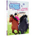 Академия верховой езды. Лошадь для Марьяны.