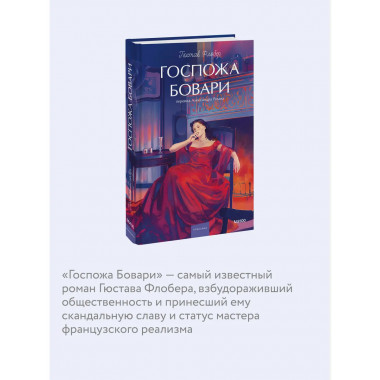 Госпожа Бовари. Вечные истории. Young Adult.