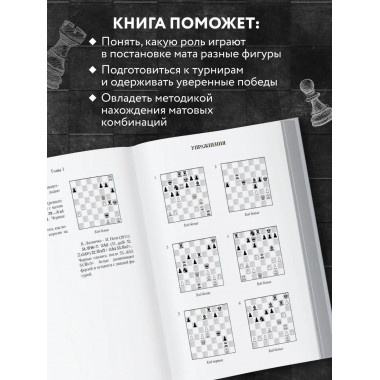 Шахматная тактика XXI века.
