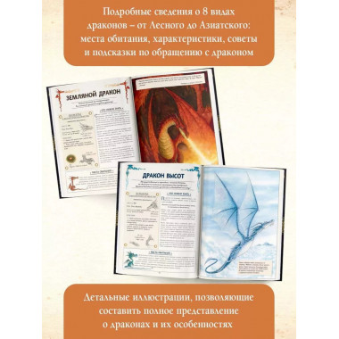 Секретное руководство охотников на драконов.