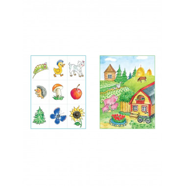 Запомни картинки (4-5 лет) (нов.обл.)