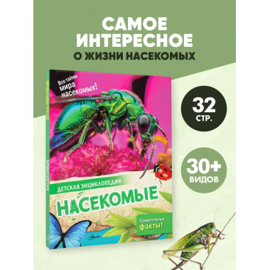 Насекомые.