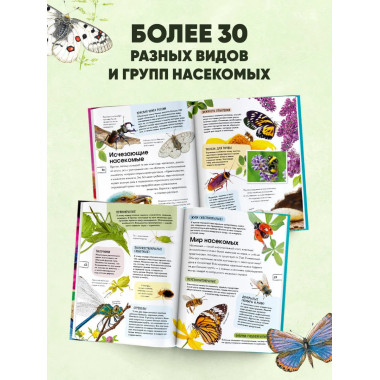Насекомые.