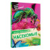 Насекомые.