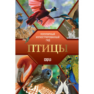Птицы. Иллюстрированный гид.