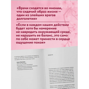 Ханасаки. Японская система