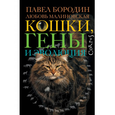 Кошки, гены и эволюция.
