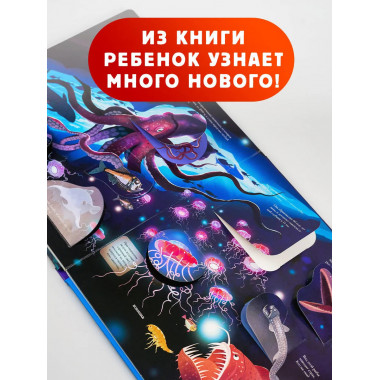 Подводный мир.