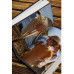 Авиатор.