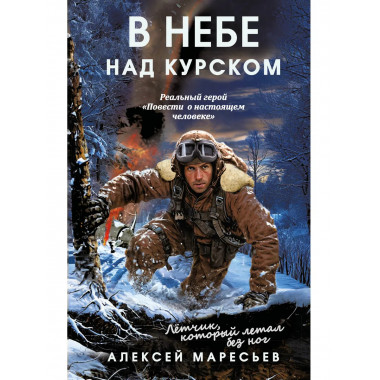 В небе над Курском. Реальный герой
