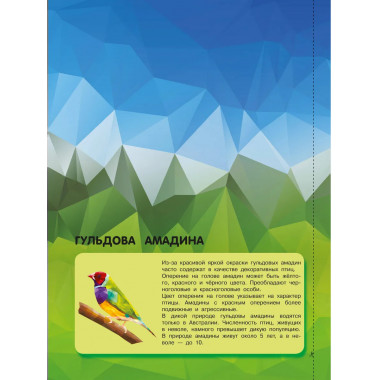 Птицы.