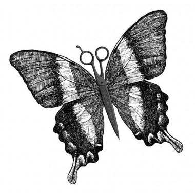 Черные бабочки. Моди