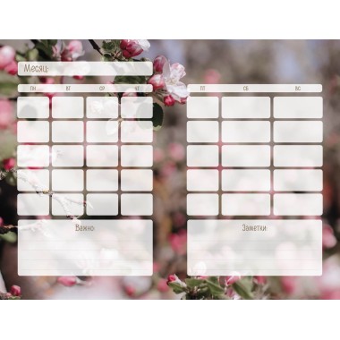 Творчество внутри меня. Следуй к мечте. Цвикевич Кристина