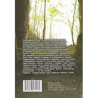 Небесный менеджер. Симатов А.