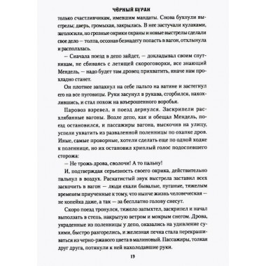 Чёрный буран. Щукин М.Н.