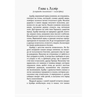 Воин Света. Часть 6. Шепот Земли. Щерба Н.В.