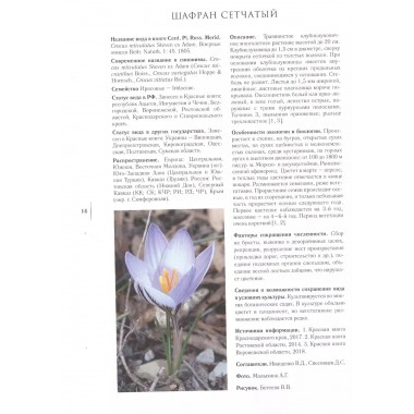 Gennuria plantarum rariorum russiae meridoinalis Ф.К. Биберштейна глазами молодых исследователей 