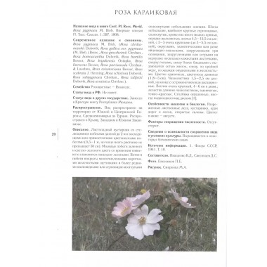 Gennuria plantarum rariorum russiae meridoinalis Ф.К. Биберштейна глазами молодых исследователей 