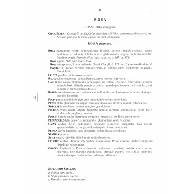 Gennuria plantarum rariorum russiae meridoinalis Ф.К. Биберштейна глазами молодых исследователей 