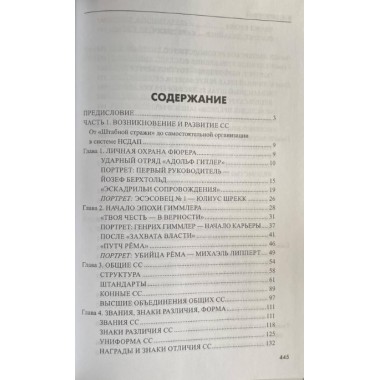 Государство террора. СС в системе власти Третьего рейха. Залесский К.А.