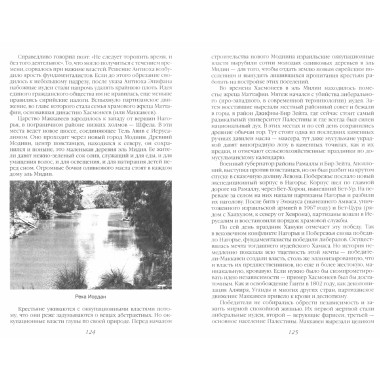 Сосна и олива. Израиль и его соседи. Шамир И