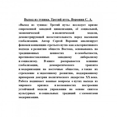 Выход из тупика. Третий путь. Воронин С.А.