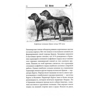 Курцхаар на охоте и дома. Малов О.Л.
