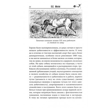 Курцхаар на охоте и дома. Малов О.Л.
