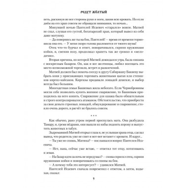 Редут Жёлтый. Чиненков А.В.