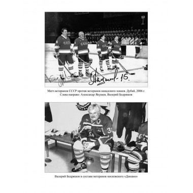 Созвездие Лубянки. Люди и судьбы. Ведяев А.Ю.