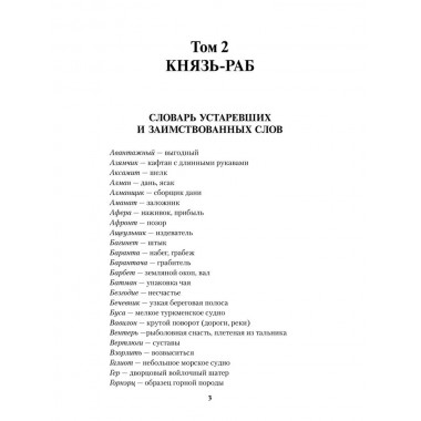 Князь-раб: роман в 2 т. т.2: Князь-раб. Родионов А.М.