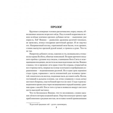 Волхв. Мильшин С.Г.