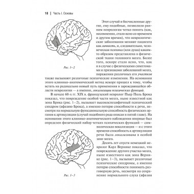 Клинические исследования в нейропсихоанализе. 5-е издание. Каплан-Солмз К., Солмз М.