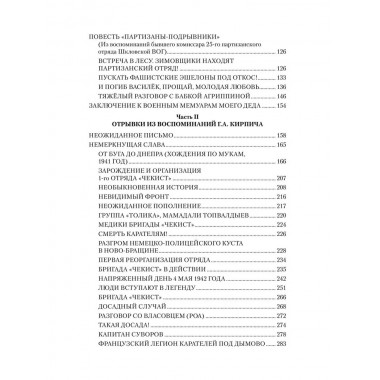 Комиссар и комбриг. Армейско-партизанские мемуары. Пичугин М.П.