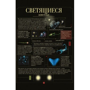 Диковинные животные. Парески Д.